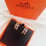 Hermes Earrings