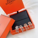 Hermes Earrings
