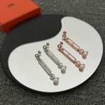 Hermes Earrings