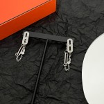 Hermes Earrings