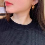 Celine Earrings