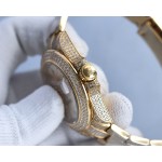 Rolex Gypsophila Edition Watch