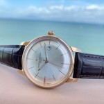 Vacheron Constantin Woodland