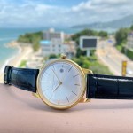 Vacheron Constantin Woodland