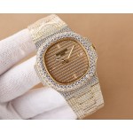 Patek Philippe Platinum Nautilus Watches