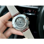 Cartier Fine Men's Watches