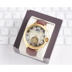 Cartier Fine Men's Watches