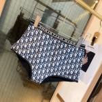 迪奥比基尼泳衣