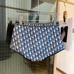 迪奥比基尼泳衣