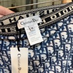 迪奥比基尼泳衣