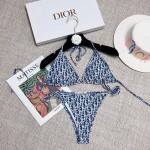 Dior new split swimsuit