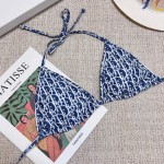 Dior new split swimsuit