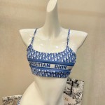 Dior new split swimsuit