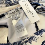 Dior new letter bikini