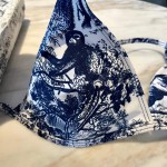Dior new letter bikini