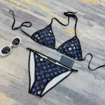 Louis Vuitton new bikini