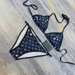 Louis Vuitton new bikini
