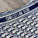 Dior presbyopic one piece swimsuit