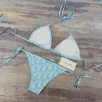Dior new split swimsuit