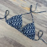 Dior new split swimsuit