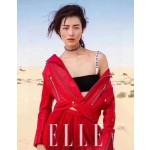 Dior's new hot style bikini split swimsuit