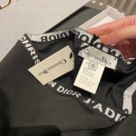 Dior's new hot style bikini split swimsuit