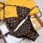 Louis Vuitton Bikini swimming costume
