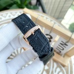 Frank-Muller 🉐Gypsophila series