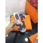 Hermes H series new revision