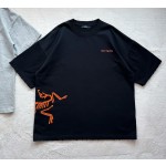 Arc'teryx Big Bird series