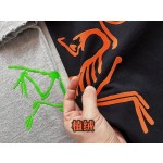 Arc'teryx Big Bird series