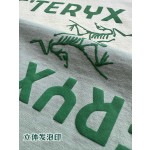 Arc'teryx Big Bird series