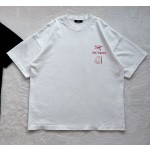 Arc'teryx Big Bird series