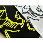 Arc'teryx Big Bird series