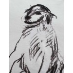 Dior sketch dog print round neck short sleeves