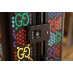 Gucci luggage/trolley