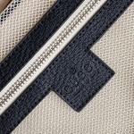 Gucci luggage/trolley