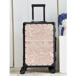 Christian Dior luggage/trolley