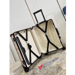 Christian Dior luggage/trolley
