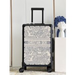 Christian Dior luggage/trolley
