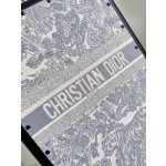 Christian Dior luggage/trolley