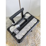 Christian Dior luggage/trolley
