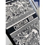 Christian Dior luggage/trolley