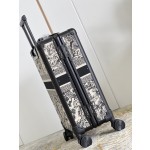 Christian Dior luggage/trolley
