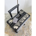 Christian Dior luggage/trolley