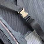 LOUIS VULTTON luggage / trolley case