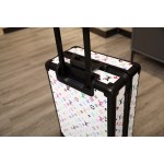 LOUIS VULTTON luggage / trolley case