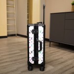 LOUIS VULTTON luggage / trolley case