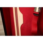 LOUIS VULTTON luggage / trolley case