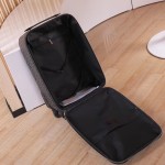 LOUIS VULTTON luggage / trolley case